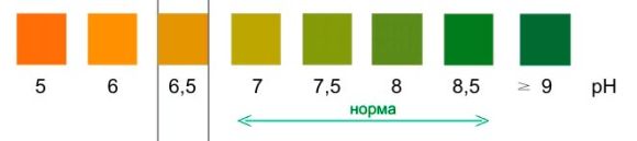 Экспресс диагностические тест-полоски для определения кислотности (рН) воды Биосенсор-Аква-рН  (питьевой, аквариумной, водоемов и др.)
